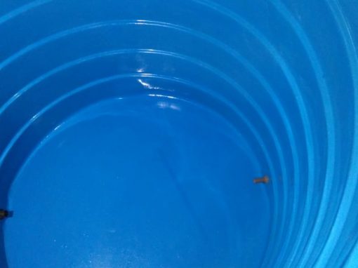 Condomínio Mondrian